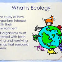 Ecology