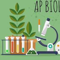 AP Biology Binder