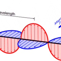 Physics (Grades 7-12)