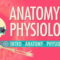 Taylor, Steed "Anatomy and Physiology Virtual Science Notebook