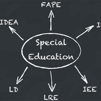 SED 104 Exceptionality Binder - Demo