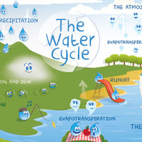 Water Cycle 2nd Grade