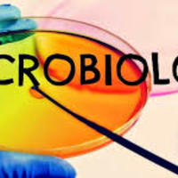 MICROBIOLOGIA