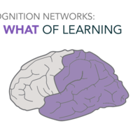 Differentiation - Content