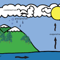 Water on Earth--Where, What, and How!