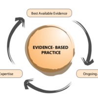 Misty Murray Evidence Based Practices