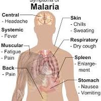 Malaria