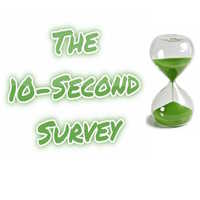 The 10-Second Survey