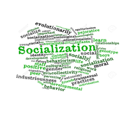 Socialization Lesson Plan