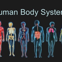 ADVANCED PATHOPHYSIOLOGY, PHARMACOLOGY, AND HEALTH ASSESSMENT