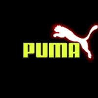 Puma Brand