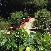 School Gardens