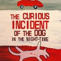 The curious incident of the dog in the night-time