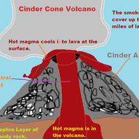 Mrs. Chilson's Science & Computers 3A