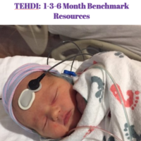 TEHDI 1-3-6 Month Benchmarks Resources
