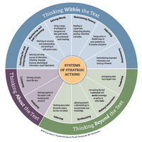 Literacy Livebinder