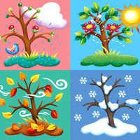 Seasons