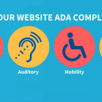 Website Accessibility Standards