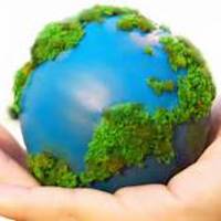 Going Green: Sustainability in Business Communication Courses