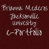 Brianna Mederos Portfolio