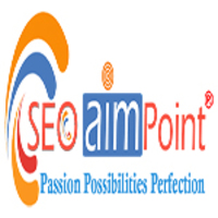 SEO AIM POINT Web Solution Pvt. Ltd.