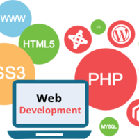 SL book Website Designing Services and Development Company