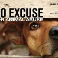Animal Abuse: Is It Ethical To Test On Animals?