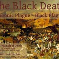 Middle Ages + Bubonic Plague