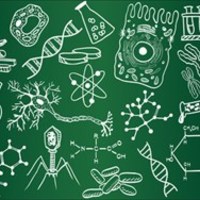 STEM ED 1030
