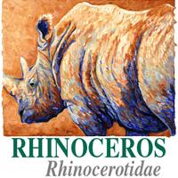 The Rhinoceros