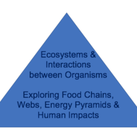 Ecosystems & Interactions between Organisms