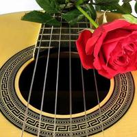 LHS Guitar Resources