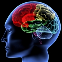 Traumatic Brain Injury