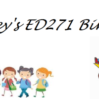 ED271 Binder