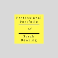 Professional Portfolio