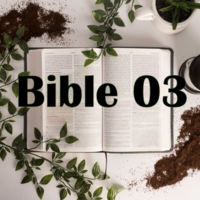 Bible 03