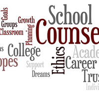 Professional School Counseling Portfolio of Nicole Bacigalupo