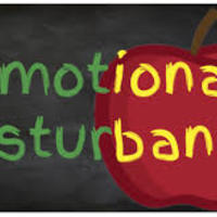 Emotional Disturbance Resource Portfolio