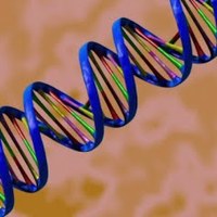 Genetics Unit