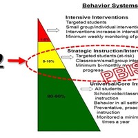 Tier II (Advanced)