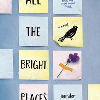 All the bright places independent project