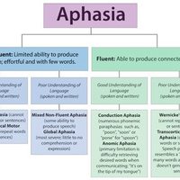 Aphasia Fall 2017