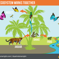 Enviromental science