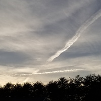 J Watkins RCS Capstone Project "Chemtrails"