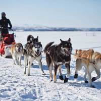 Iditarod Unit