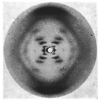 X Ray Crystallography Final Project