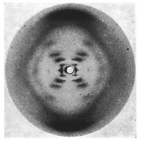 X Ray Crystallography Final Project