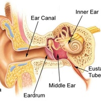 Aural Habilitation