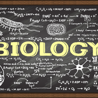 Biology EOC Prep