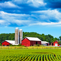 Farms